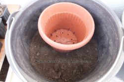 Working in this big bucket keeps the dirt contained.