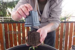 Remove the small pot by gently pulling upward.