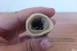 Carved out antler.