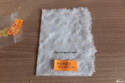 Label.
