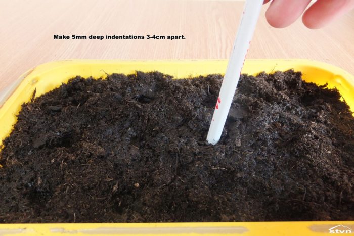 Make 5mm deep holes 3-4cm apart.